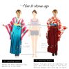 -Kimono Women Embroidered Hakama Skirt Single Item Andon