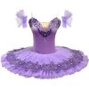 Professional Swan Lake Dance Costumes Kids Womens Ballet Skirt Girls Pancake Tutu Dress