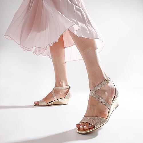 Women's Low Wedge Sandals Ankle Strap Heel Sandal Open Toe Wide Dress Summer Shoes