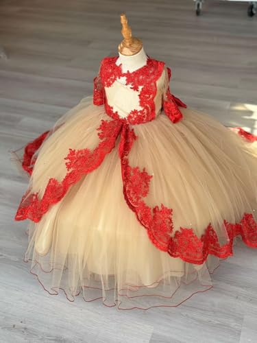41IOjteldxL.jpg 2025 Ball Gown Sheer Neck Flower Girl Dresses for Wedding Party with Big Bows at Back