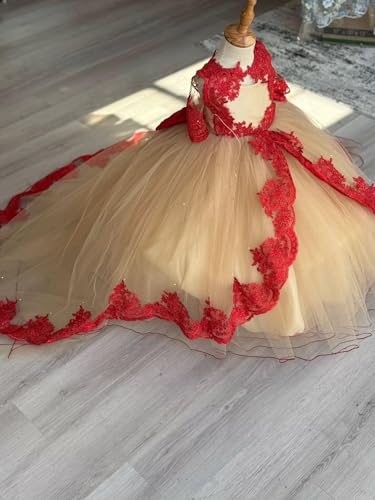 41mimXSSkAL.jpg 2025 Ball Gown Sheer Neck Flower Girl Dresses for Wedding Party with Big Bows at Back