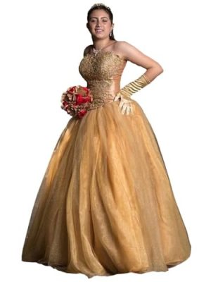Lace Organza Prom Dresses Plus Size Strapless A-line Formal Dress Evening Womens Gowns Corset 2025