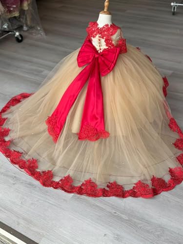 41s7zgFcueL.jpg 2025 Ball Gown Sheer Neck Flower Girl Dresses for Wedding Party with Big Bows at Back