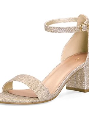 Women's Chunky Low Heels Open Toe Block Heeled Dress Ankle Strap Pump Wedding Sandals