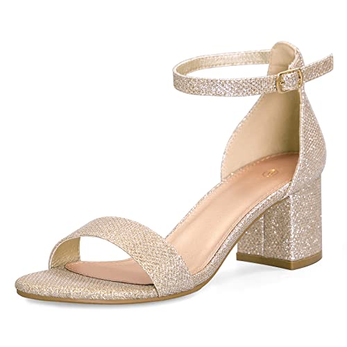 41ubNQBl3qL.jpg Women's Chunky Low Heels Open Toe Block Heeled Dress Ankle Strap Pump Wedding Sandals