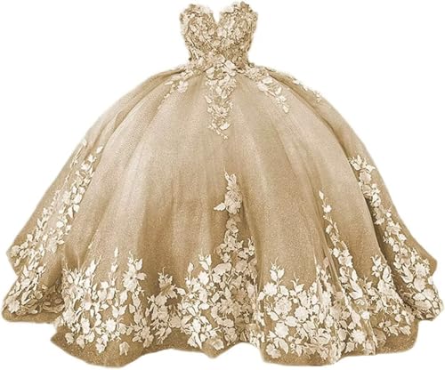 Sweetheart Floral lace up Corset Quinceanera Dresses Puffy Prom Party Sweet 15 16 with Train for Girl Juniors Prom Ball Gown