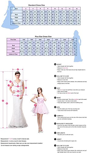 V Neck Velvet and Tulle Long Ball Gown Corset Formal Evening Prom Dresses