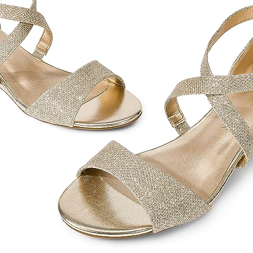 Women's Low Wedge Sandals Ankle Strap Heel Sandal Open Toe Wide Dress Summer Shoes