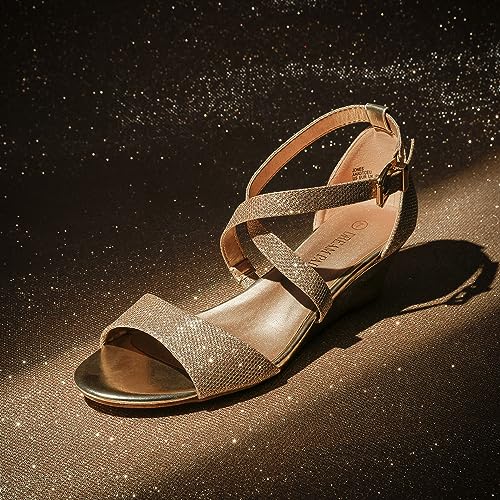 Women's Low Wedge Sandals Ankle Strap Heel Sandal Open Toe Wide Dress Summer Shoes