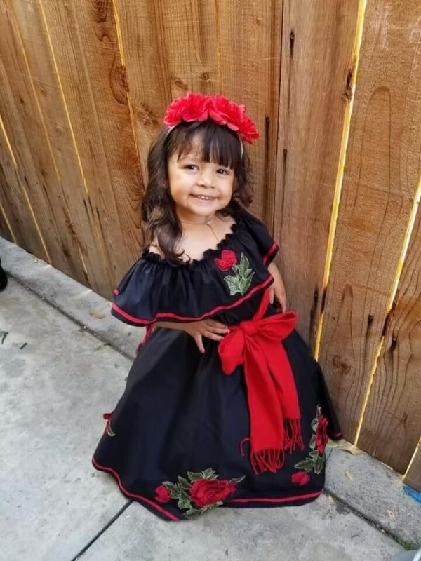 Flower Embroidered Mexican Mini Quinceanera Dresses for Little Girls Pageant Ball Gown Dress Off Shoulder