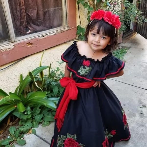 Flower Embroidered Mexican Mini Quinceanera Dresses for Little Girls Pageant Ball Gown Dress Off Shoulder