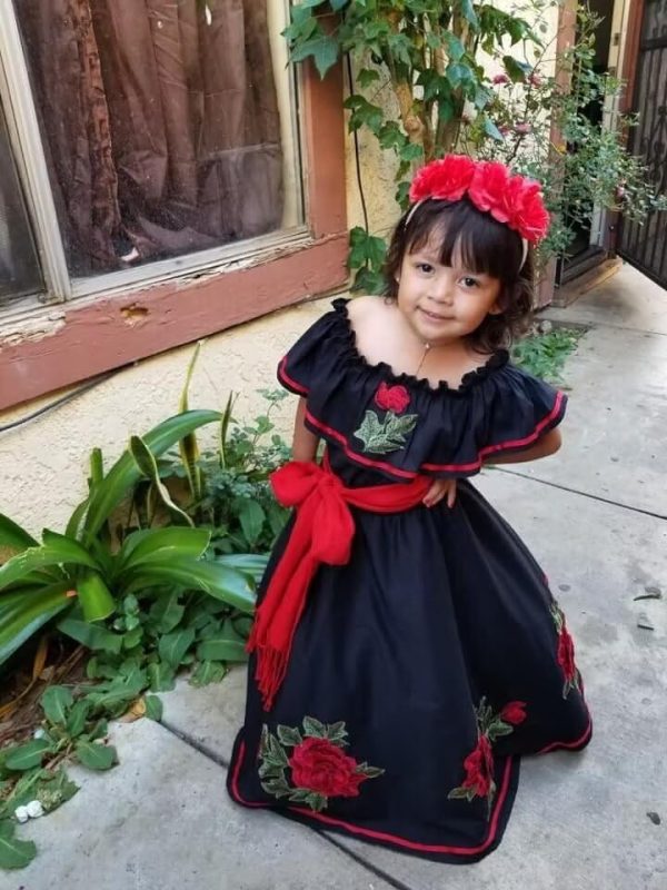 Flower Embroidered Mexican Mini Quinceanera Dresses for Little Girls Pageant Ball Gown Dress Off Shoulder
